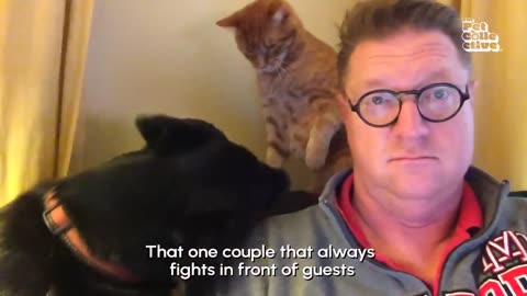 HILARIOUS Pets in LOVE 🤣 _ Funny Videos