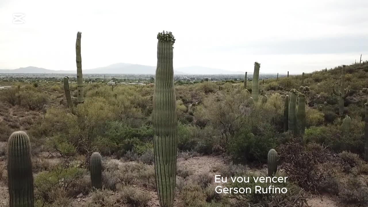Eu vou vencer - Gerson Rufino