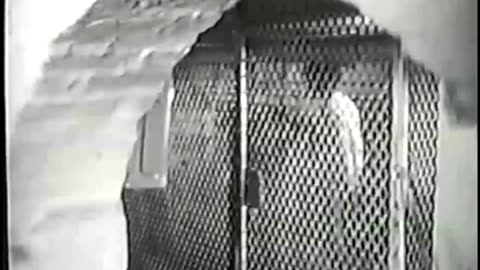 Classic Sexploitation Trailers | Clips compilation