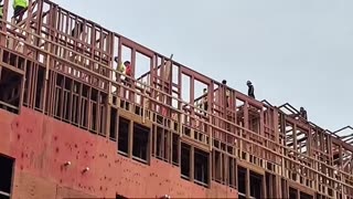 Developers don’t get it Why don’t they hire Americans?
