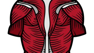 15 Organ Tune-up - Emotional Well-being - Healing Frequencies - Biofield Clearing - Sound Healing