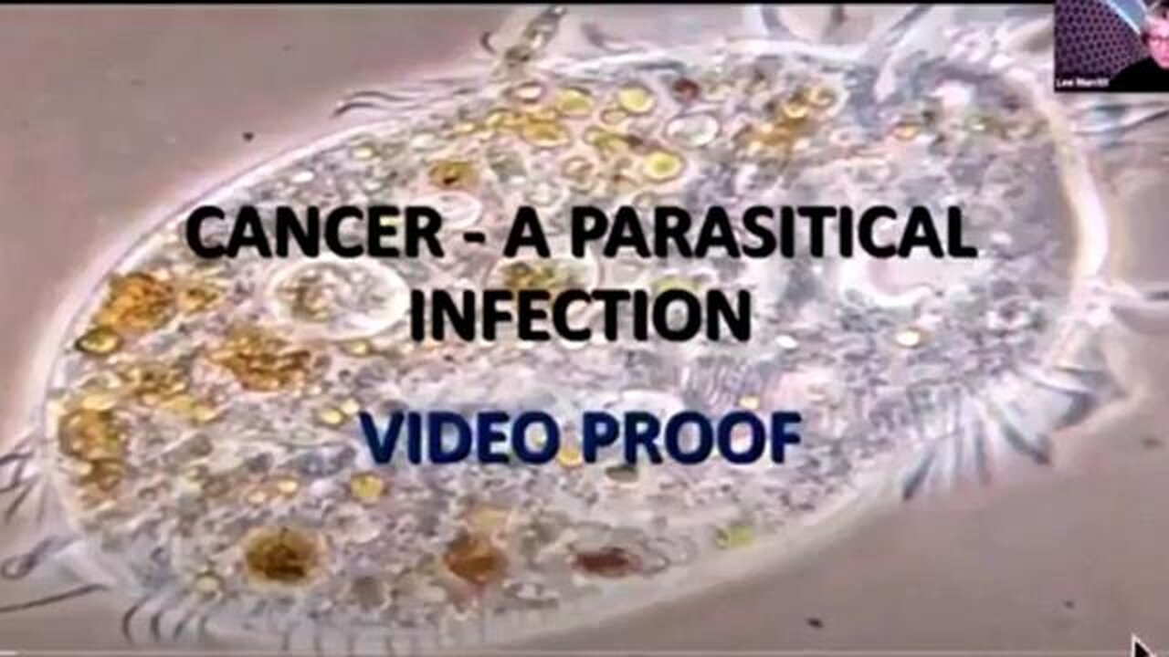 CANCER IS PARASITES AND THE CURES ARE EVERYWHERE 🔥