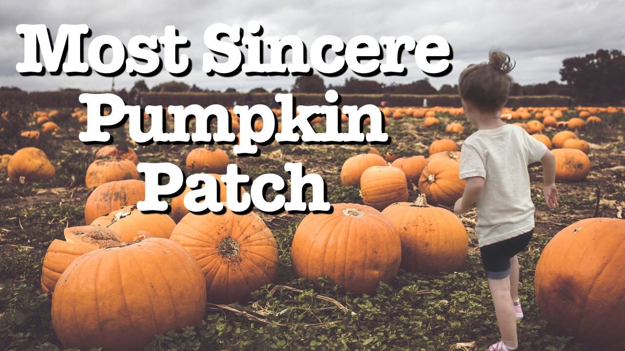 The Return to the Pumpkin Patch! (It's Fall, Y'all)