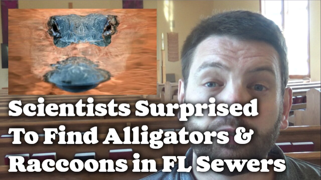 Scientists Surprised To Find Alligators & Raccoons in FL Sewers