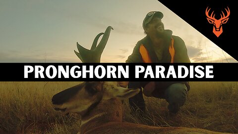 The 2% Buck | Montana Pronghorn Hunting | Pronghorn Paradise