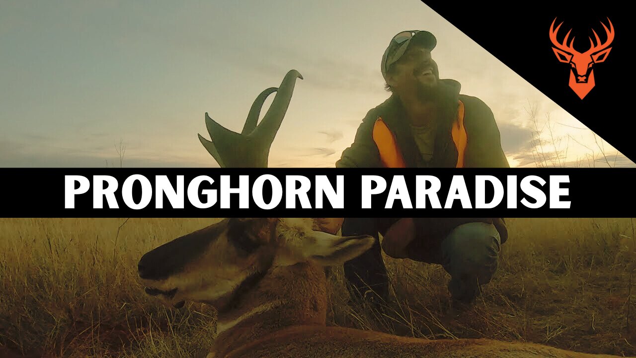 The 2% Buck | Montana Pronghorn Hunting | Pronghorn Paradise