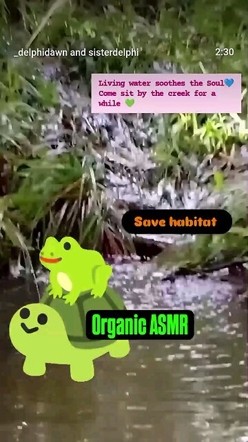 Living Water -Come sit by the creek for a minute 🐸🐢🙏