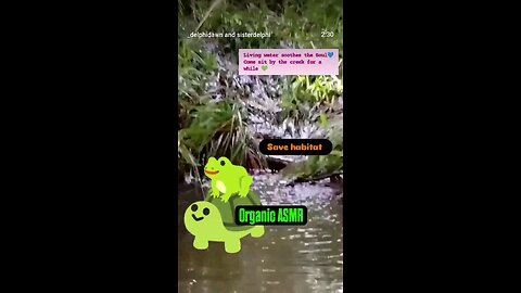 Living Water -Come sit by the creek for a minute 🐸🐢🙏