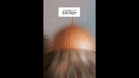 Follow if you love Allah / Surah Al Baqarah Ayat 57 #quran #islam #islamicreminders #viralvideos