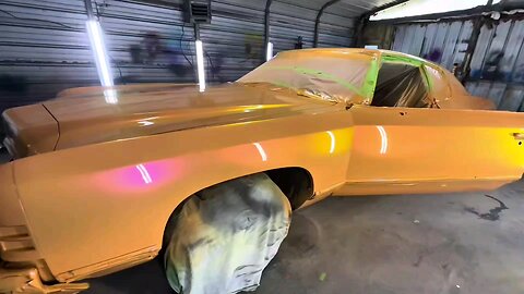 72 Caprice (Peach Cobbler) 1st introduction.