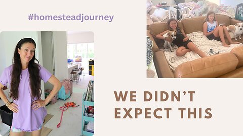 House remodel update on the homestead #homesteadjourney