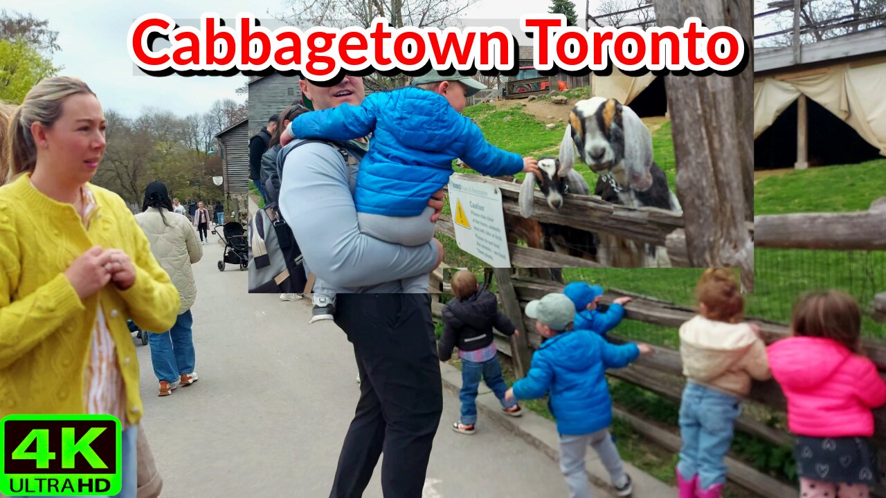 【4K】Toronto Spring Fest, Cabbagetown & Farm Fun Canada 🇨🇦