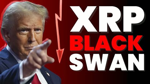 Black Swan XRP *Last Shock*
