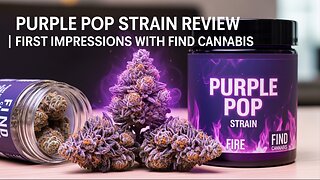🔥 Purple Pop Strain Review | First Impressions with FIND Cannabis 🔥