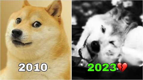 Where are the Popular Internet Memes NOW ! (Then and Now) 😭💔 #3