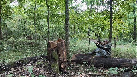 Another Shot At Squirrel Hunting