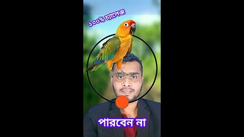 টিয়া পাখির মাথাটি জোড়া লাগান #shorts #viral #challenge #puzzle