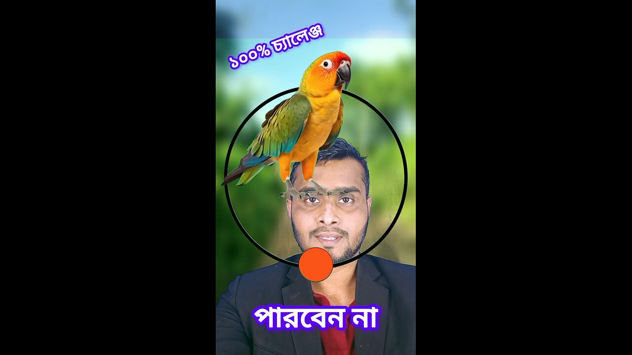 টিয়া পাখির মাথাটি জোড়া লাগান #shorts #viral #challenge #puzzle