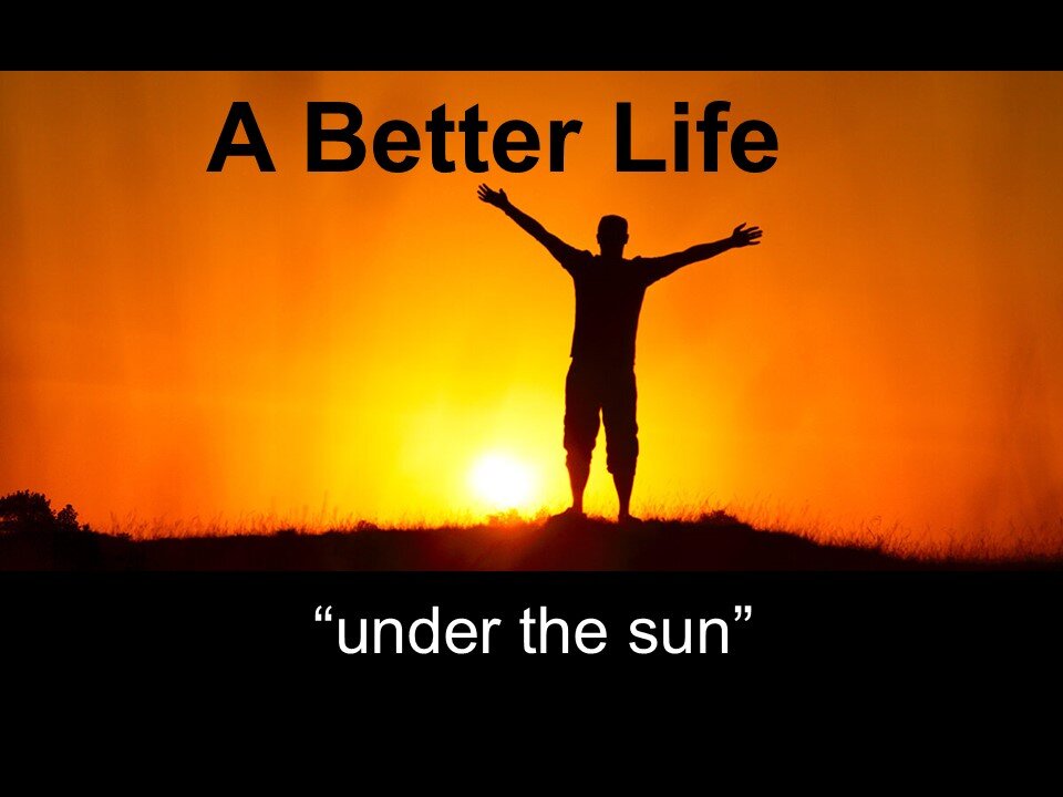 Life Under the Sun -part 10