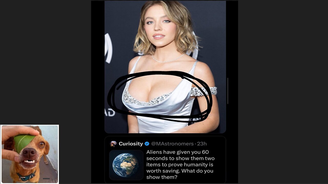 Memes That Will 99.0294% Make You Laugh. (e518)
