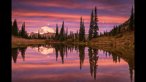 KJ's What Happened? (12/20/25)