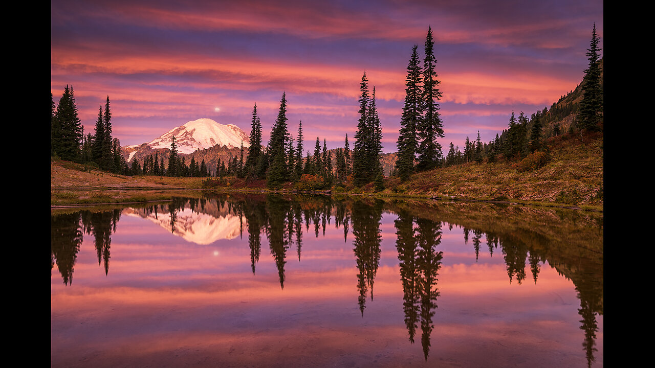 KJ's What Happened? (12/20/25)