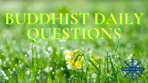 The Illusion of Self - Lama Dawa Answers Questions