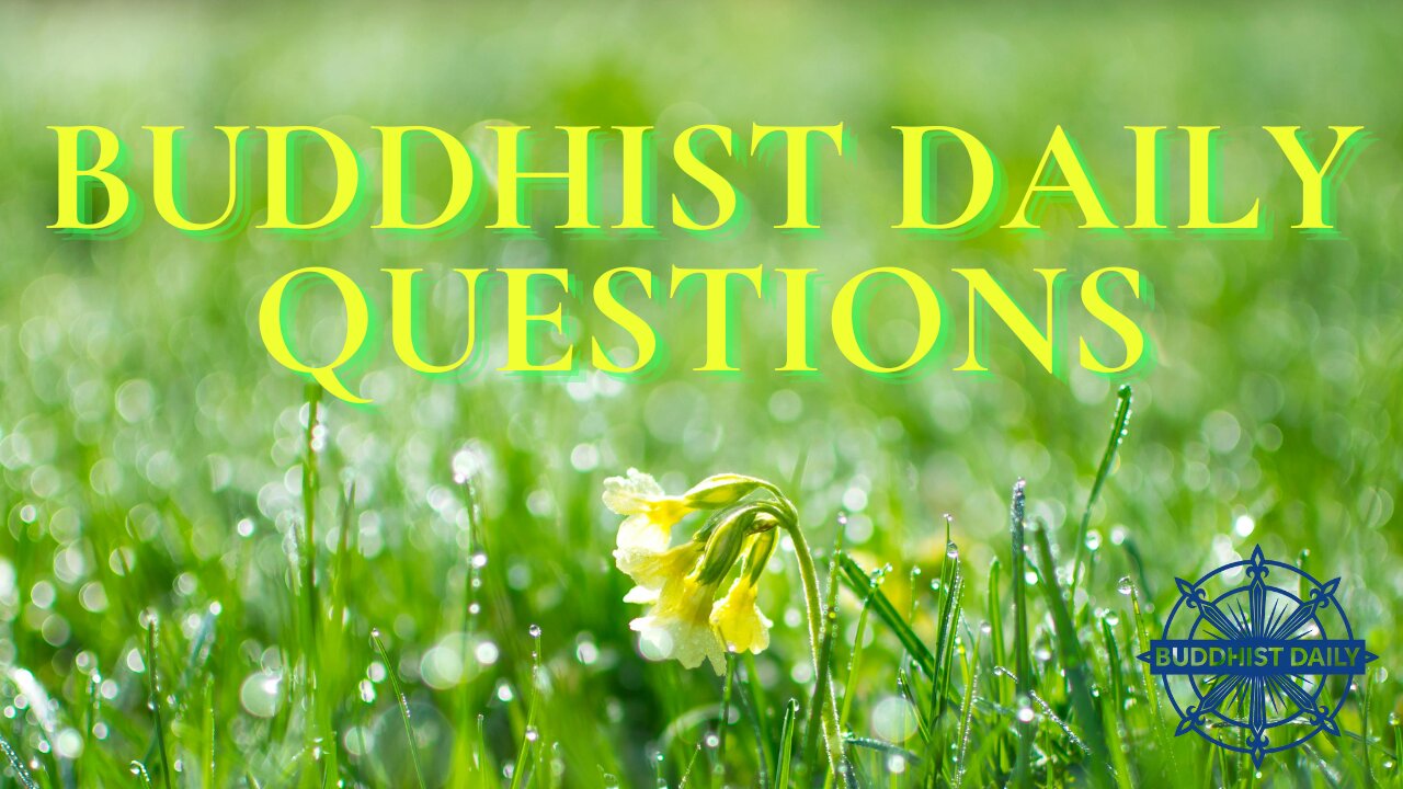 The Illusion of Self - Lama Dawa Answers Questions