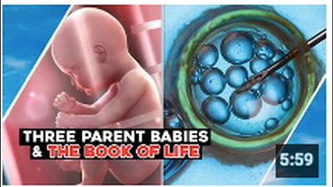 "Three-Parent Babies: Analyzing the Book of Life"