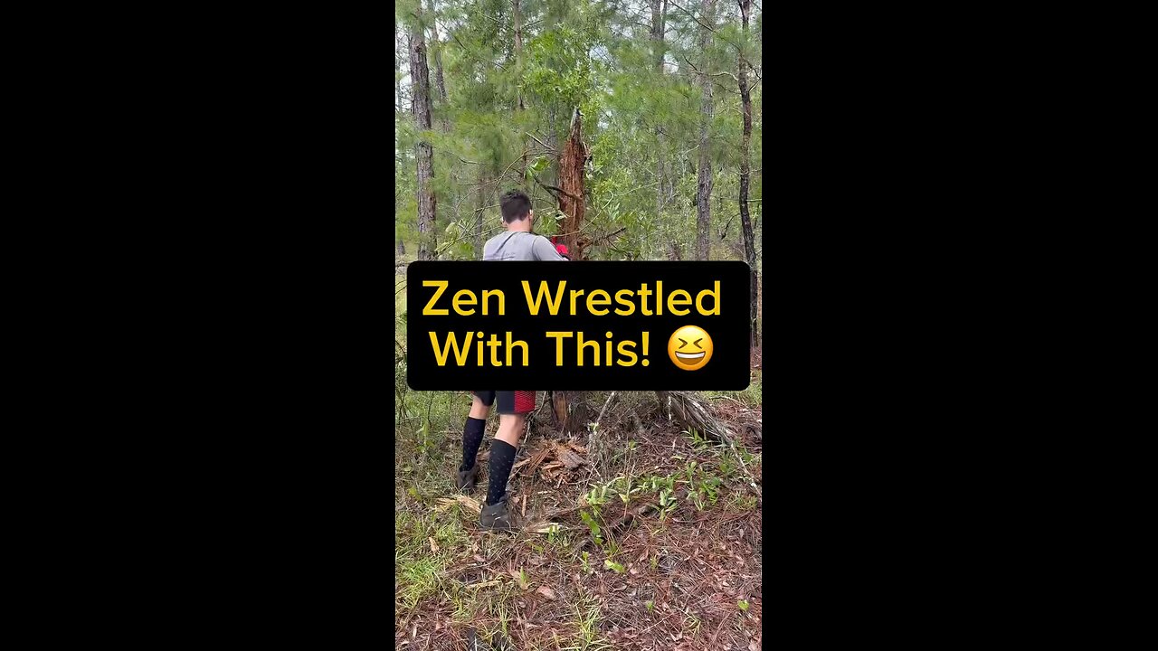 Zen Wrestled This Tree 😂