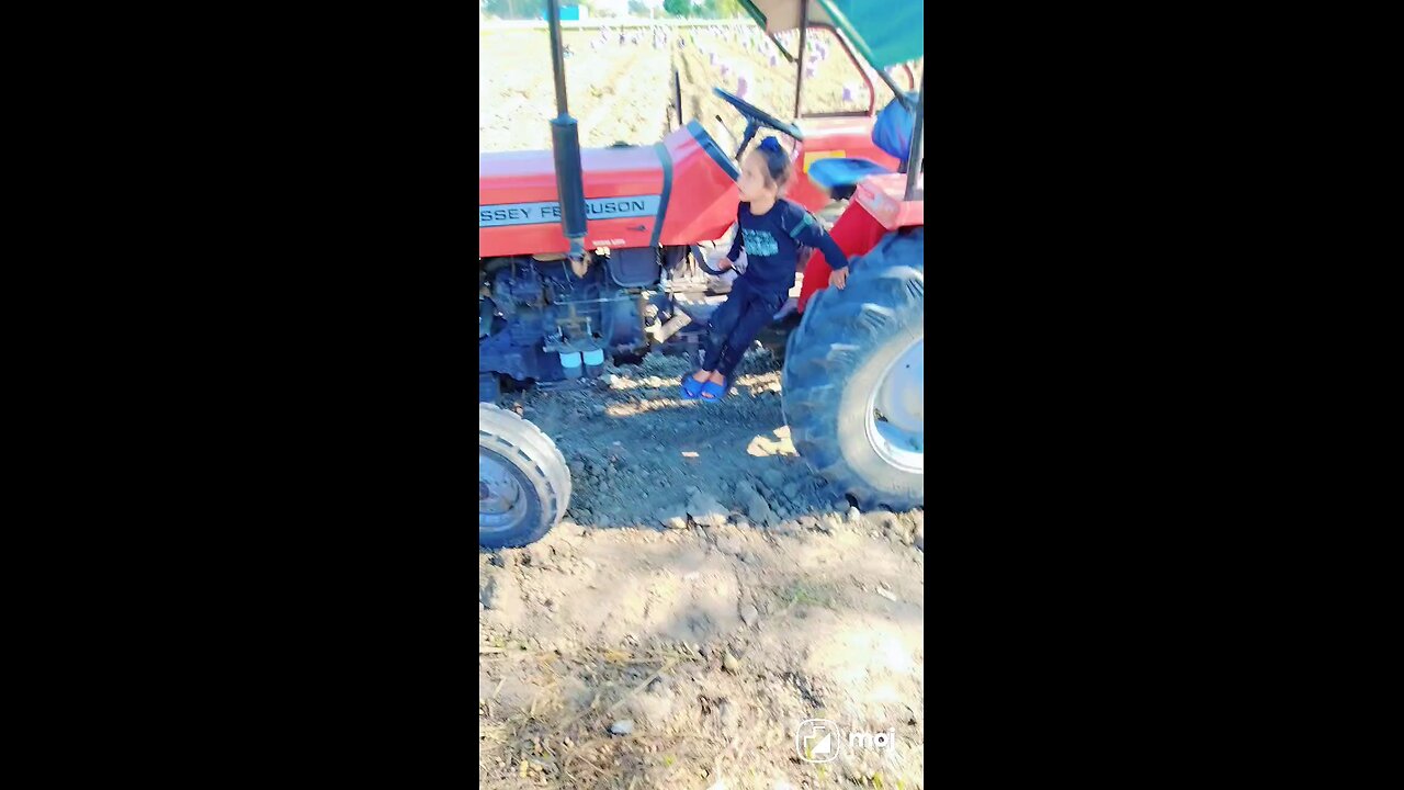 potato cutting