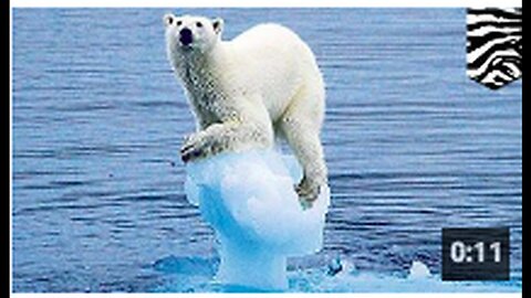 "2009 Prediction by John Kerry: 'First Ice-Free Arctic Summer in 5 Years'"