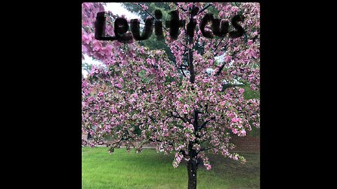 Leviticus 10, Aaron’s sons Nadab and Abihu Offer Strange Fire, God’s Holiness , Moses