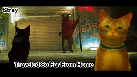 Stray: Pt: 01 ll A 28 Year Old Plays A Game About Cats