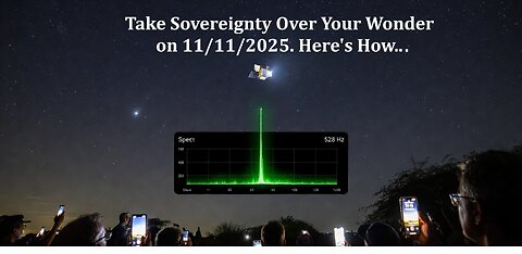 Take Sovereignty Over Your Wonder on 11/11/2025
