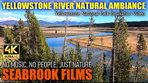 Yellowstone River Natural Ambiance: Yellowstone National Park Relaxation Video