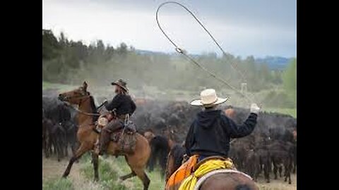 Ranchers Vanishing: Why Supporting Local Farmers Matters Now!
