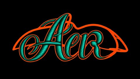 Apexes & Exits Racing