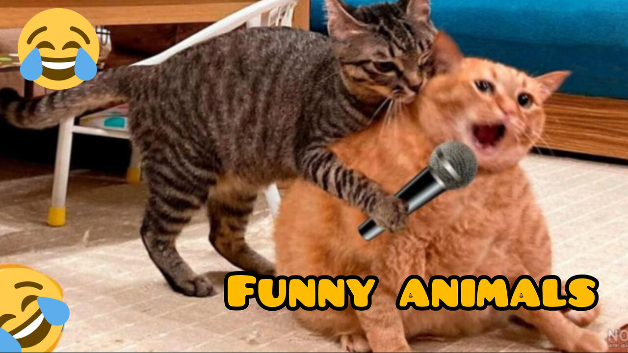 Funniest animals in our life..!😻😃