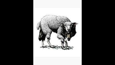 Mamdani ~ A Wolf In Sheep's Clothing