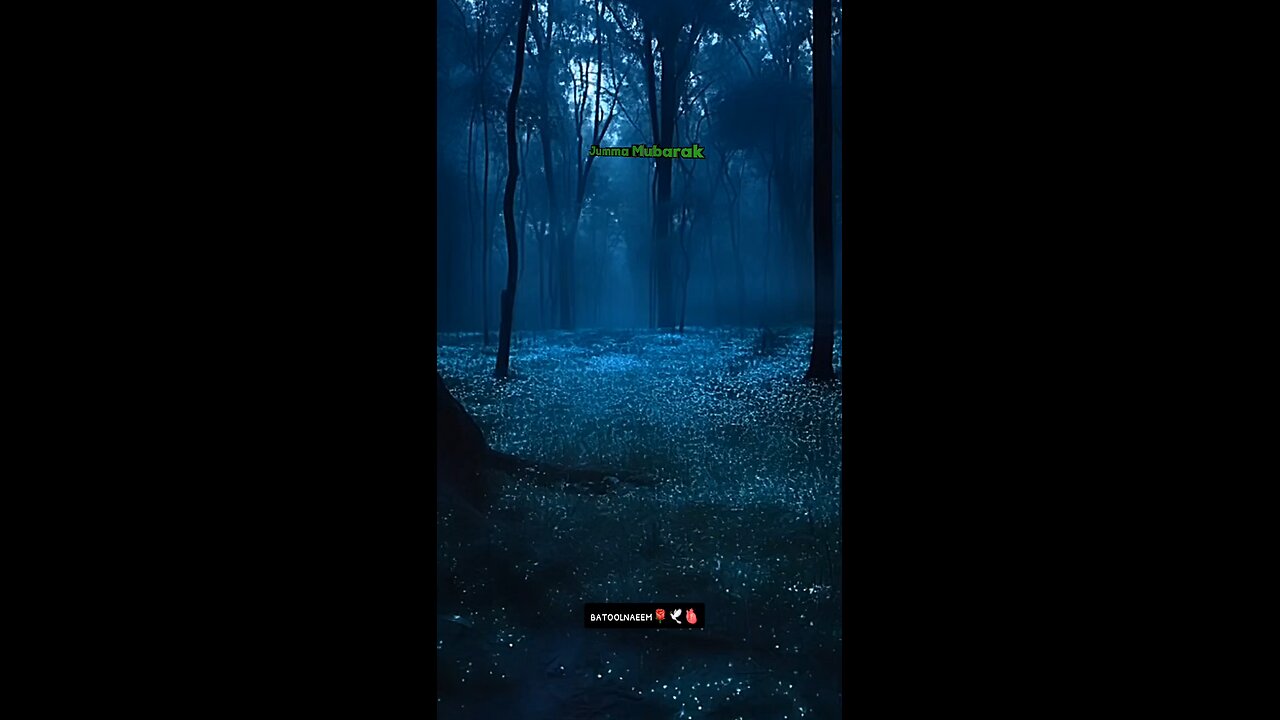 #foryoupage#viralvideo