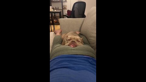 Dog fart prank 🤣🤣