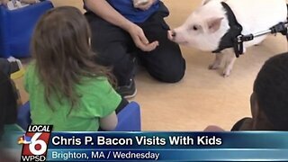 😂Chris. P Bacon😂When Live News Turns Hilarious😅