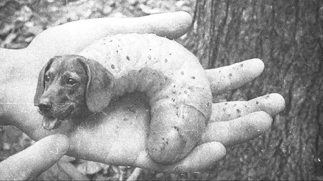 THERE’S A LOT WE NEED TO TALK ABOUT HERE - Everything Inside Me