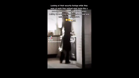 Ghost captured on a security camera in the Kitchen