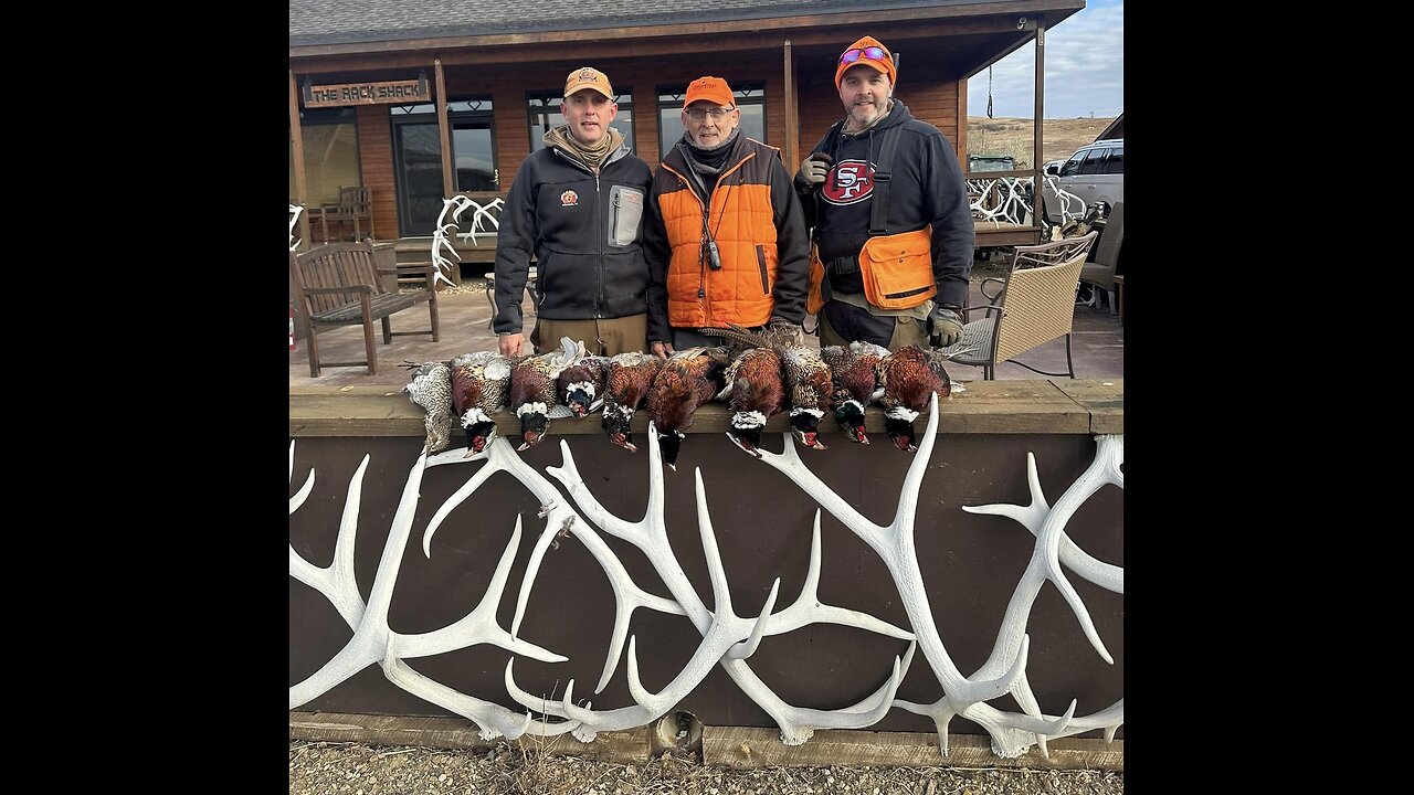 All-American Outdoors livestream!