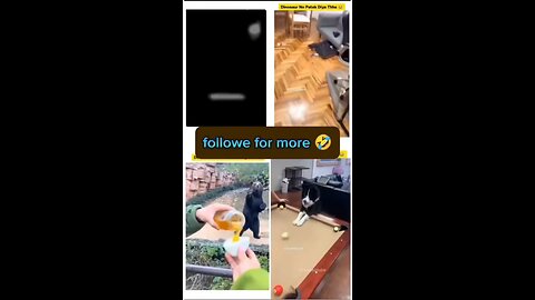 funny video part 2