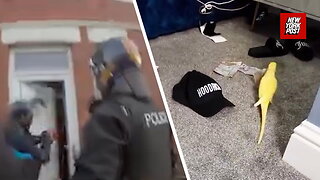 Parrot snitches on it's drug-dealing owner in video footage found by cops