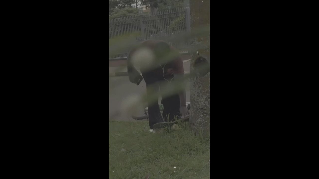 The Lord will fight for you