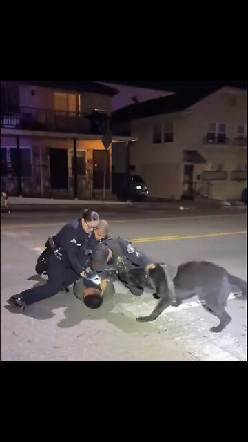 ICE AGENTS CAPTURE🏃🦮👲📸ILLEGAL MIGRANT IN LOS ANGELES👮‍♂️🚓💫